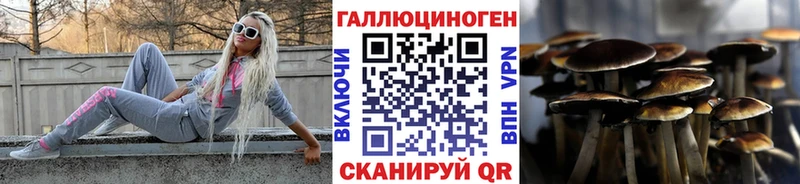 Галлюциногенные грибы Psilocybine cubensis  купить наркотик  Одинцово 